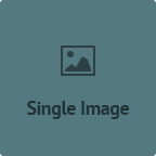 Single Image